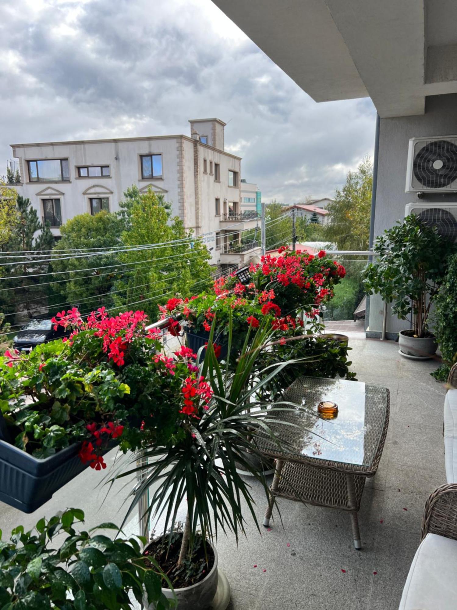 Aviator Boutique Residence Otopeni Exterior photo