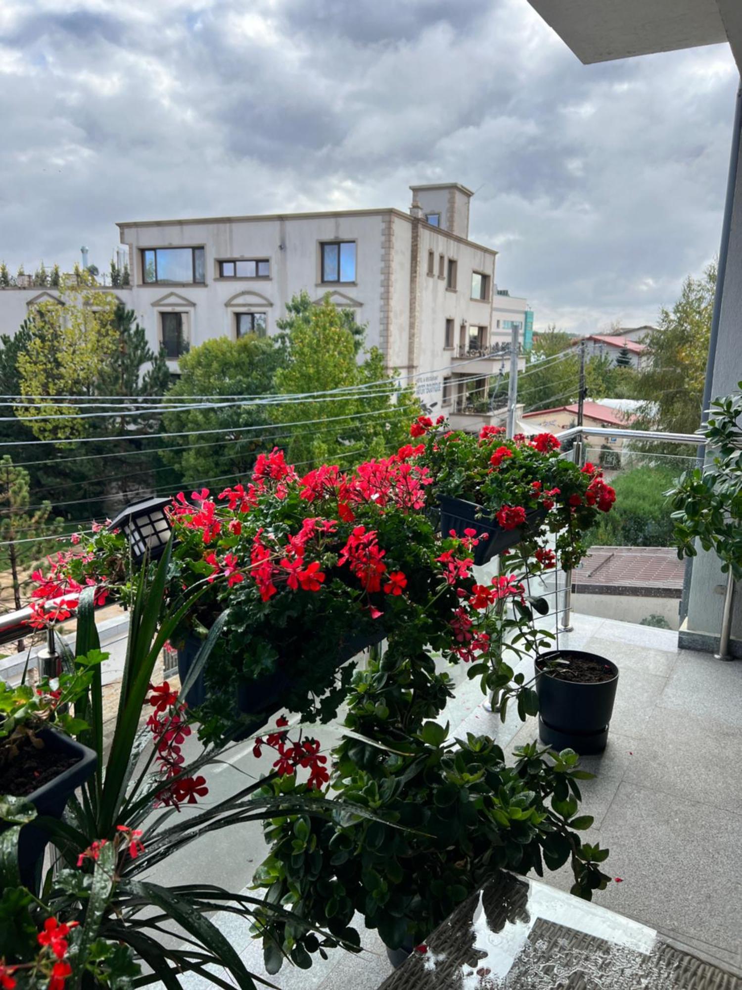 Aviator Boutique Residence Otopeni Exterior photo