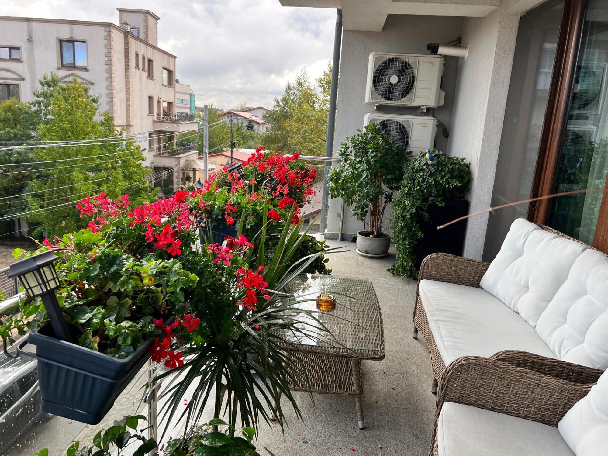 Aviator Boutique Residence Otopeni Exterior photo
