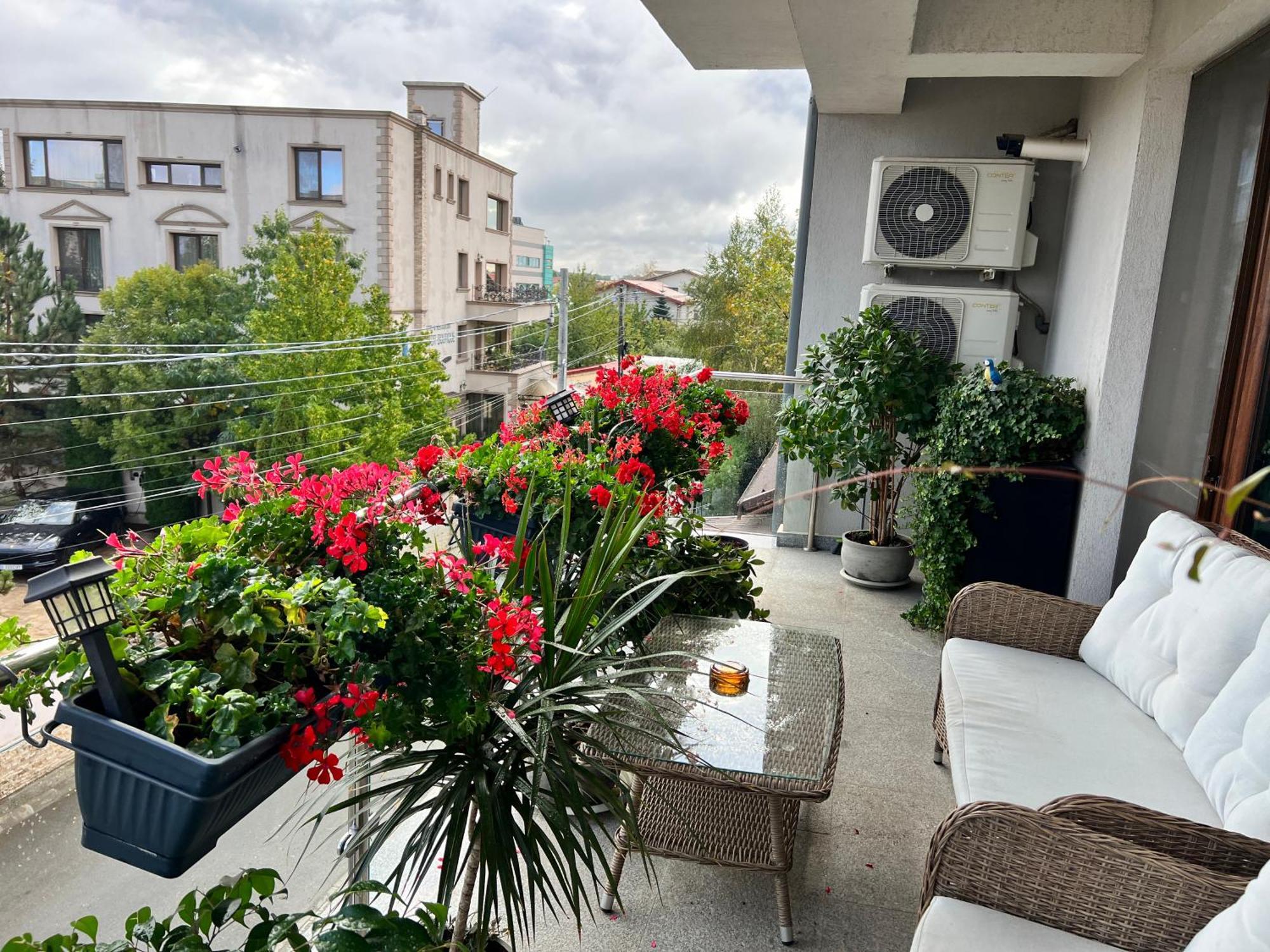 Aviator Boutique Residence Otopeni Exterior photo